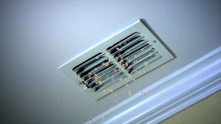 Best Air Duct Cleaning Near Me  in Deerfield, WI